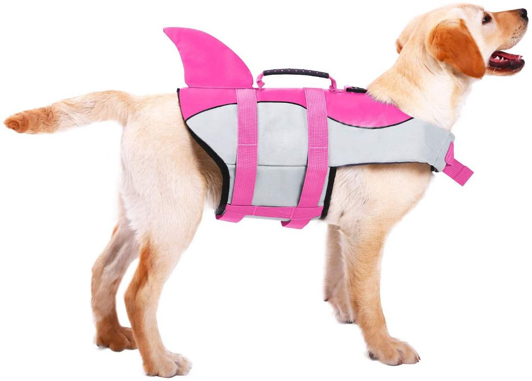 Best Dog Life Jackets : Keeping It Pawsome