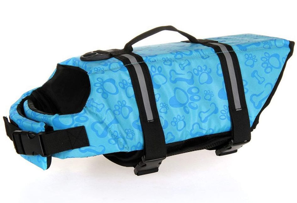 Best Dog Life Jackets : Keeping It Pawsome