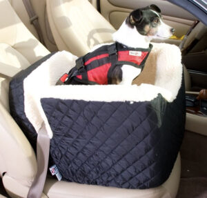 snoozer small dog car seat