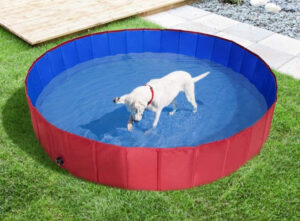 pawchie dog pool
