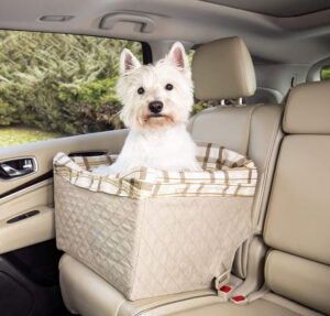 small dog car seat