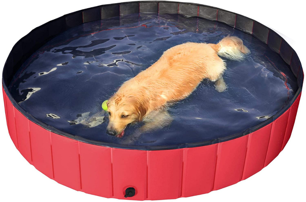 hard plastic dog pools