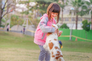 dog training - dogs and children
