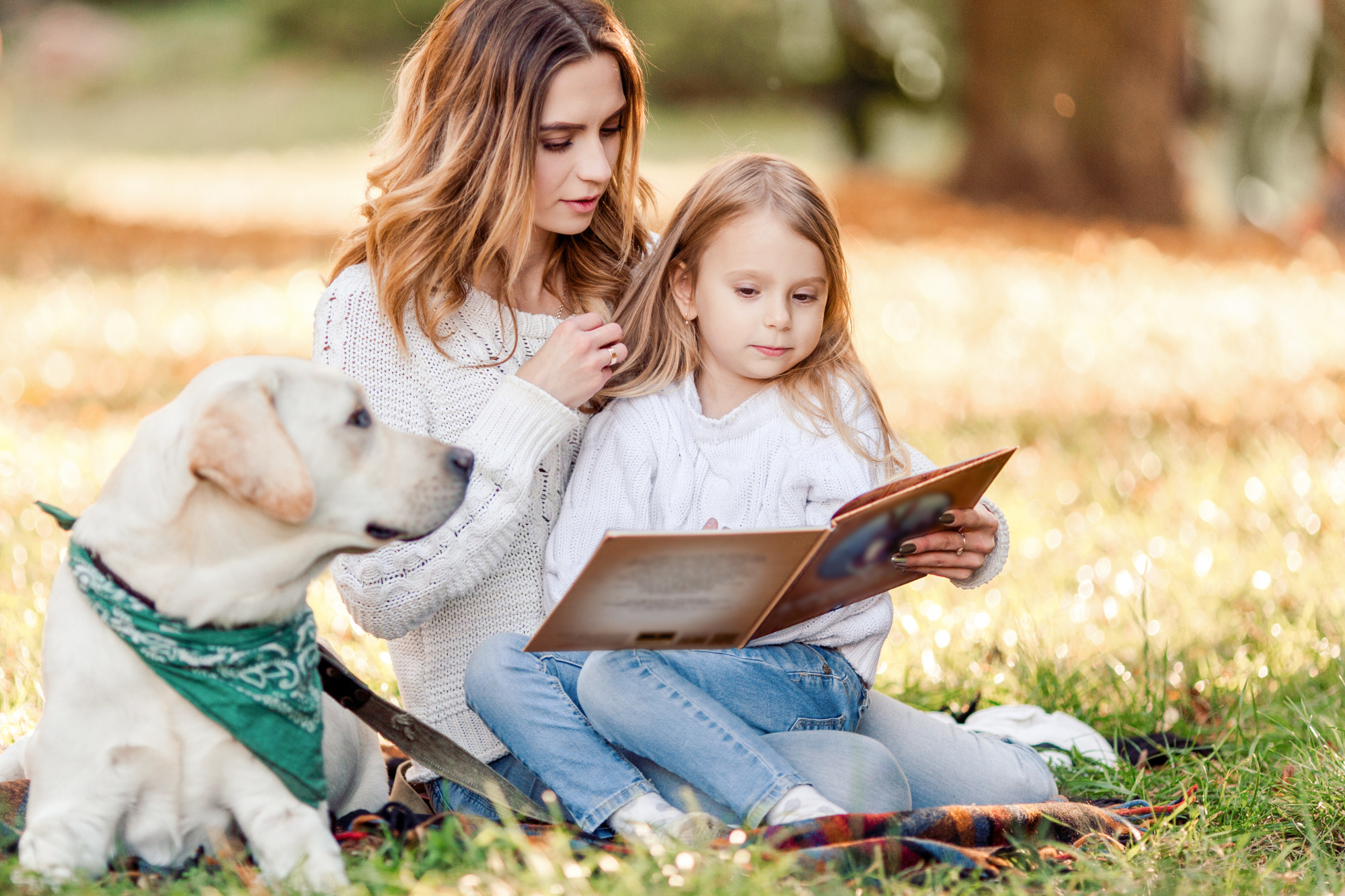 the-8-best-dog-books-for-young-children-keeping-it-pawsome