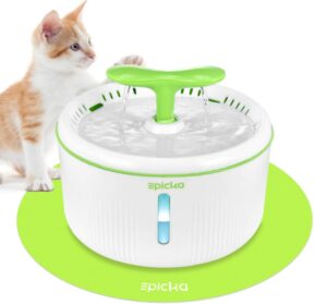 epicka sprout cat drinking fountain