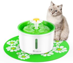 isYoung cat water fountain