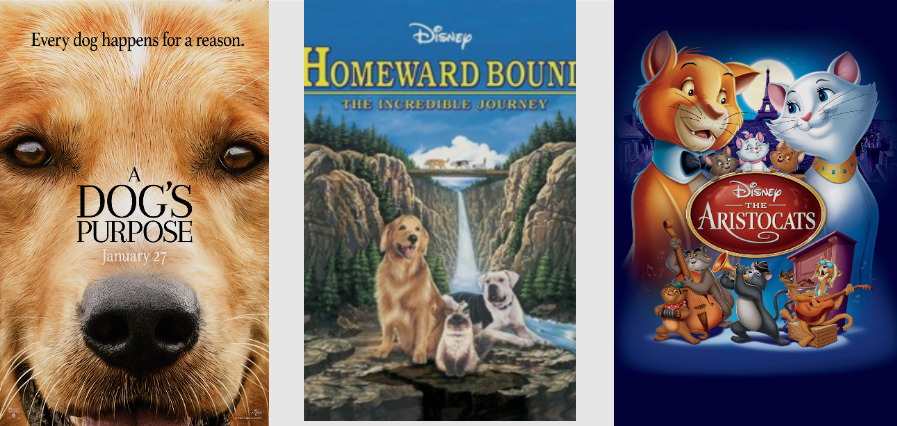 The Best Movies with Pets : Keeping It Pawsome